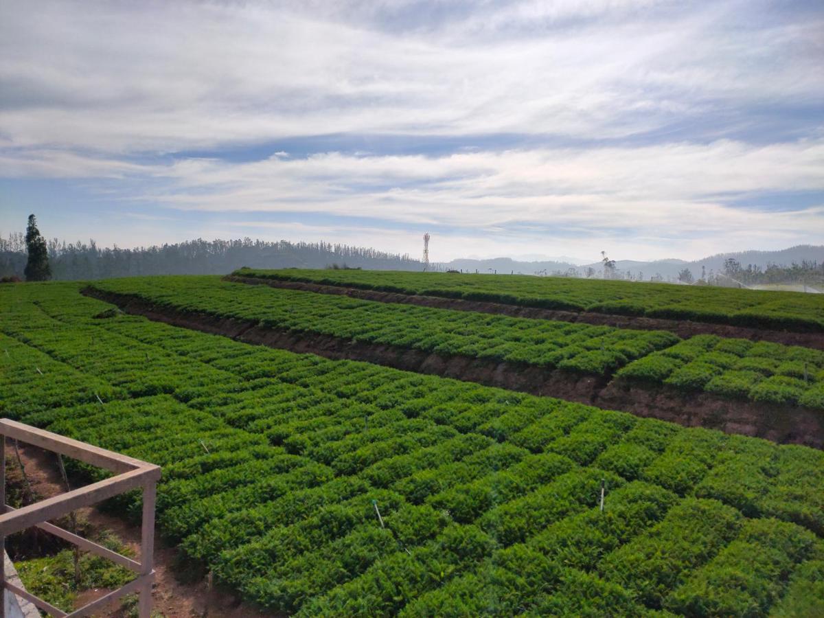Brown Tree Resorts Ooty Exterior foto